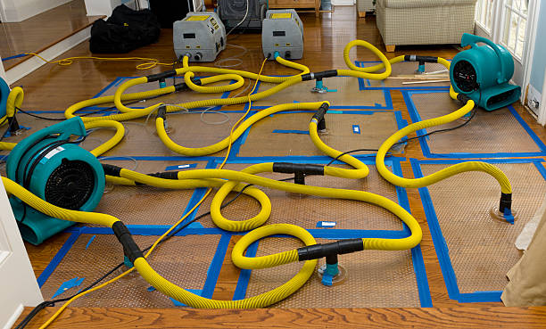 Professional Sewage Cleanup technician working in Polkville, NC